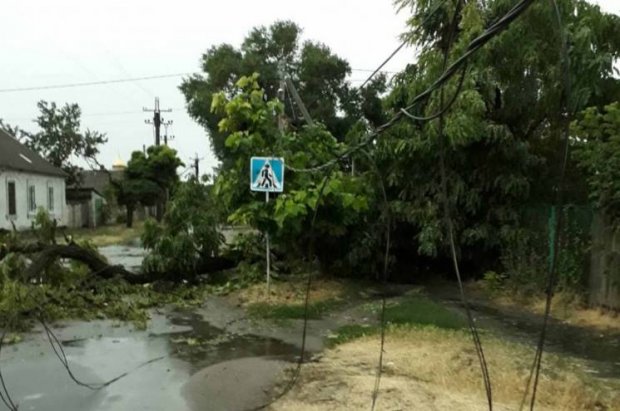 Авто плавали у воді, а дерева падали на дороги: які регіони постраждали від негоди найбільше
