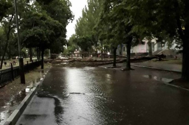Авто плавали у воді, а дерева падали на дороги: які регіони постраждали від негоди найбільше