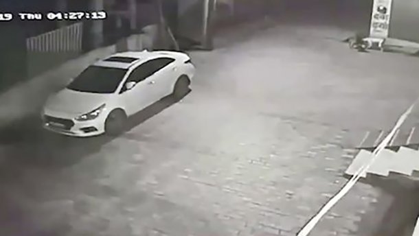 Бездомні собаки в Індії врятували немовля, яке мати викинула у каналізацію: фото та відео