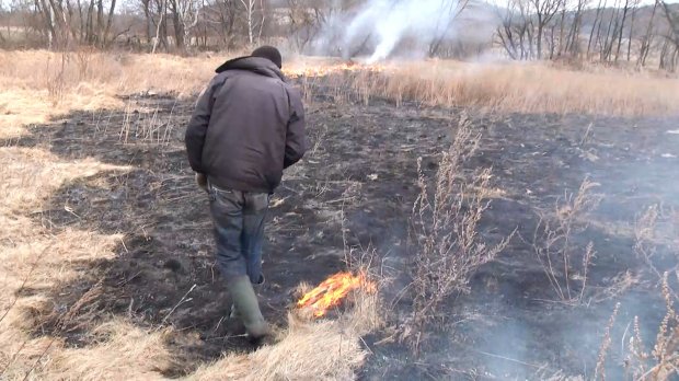 Чому не можна спалювати стерню: непоправні наслідки для природи і здоровя людини