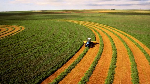 Кому выгоден миф о скупке украинской земли россиянами?