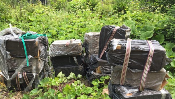 На Буковині прикордонники знову були змушені відкрити вогонь