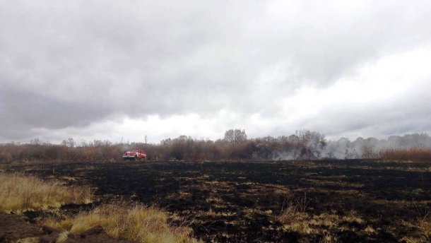 На Чернігівщині горить торф на площі у понад 3 гектари