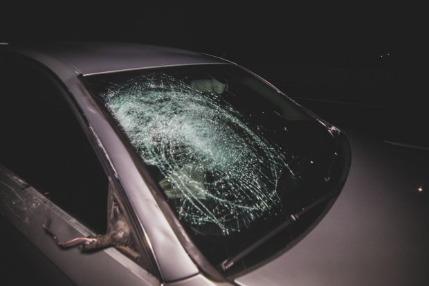 Під Києвом легковик збив на смерть трьох людей: одному із загиблих відірвало ногу – фото, відео