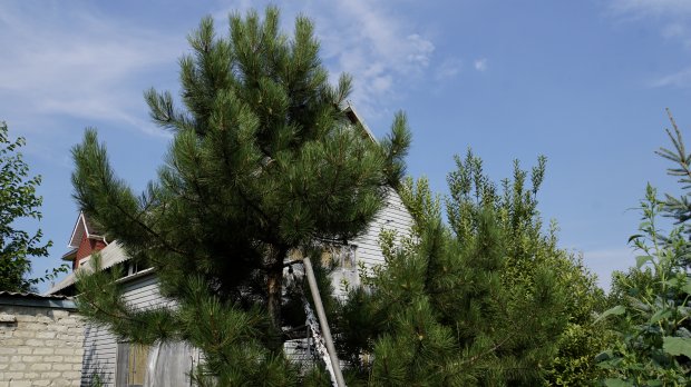 Піски через 5 років після звільнення: як бойовики знищили елітне селище на околиці Донецька