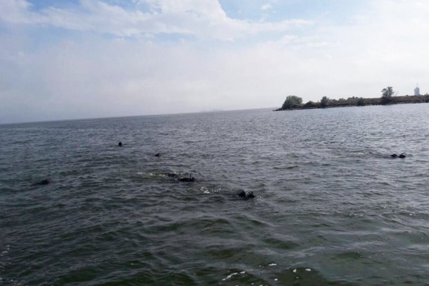 Школа військових водолазів: чому важливо допомагати морському спецназу