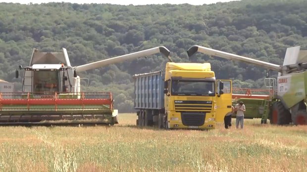 Сколько стоит расплата за отсутствие рынка земли в Украине: детали в цифрах