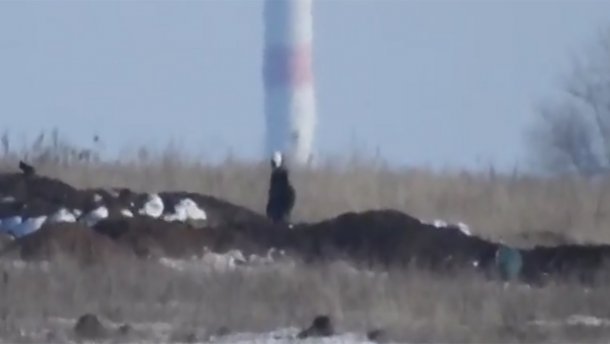 Снайпер ЗСУ ліквідував ворожого бойовика на Донбасі: відео 18+