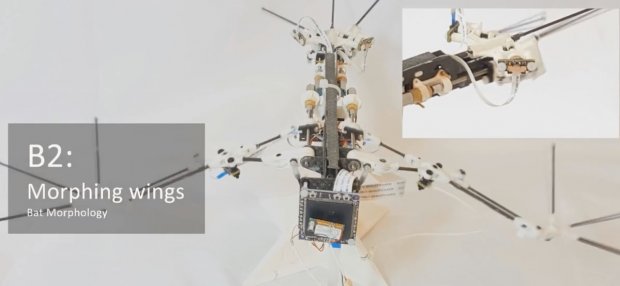 Супер бездзеркалка від Panasonic. Безпілотник, схожий на кажана