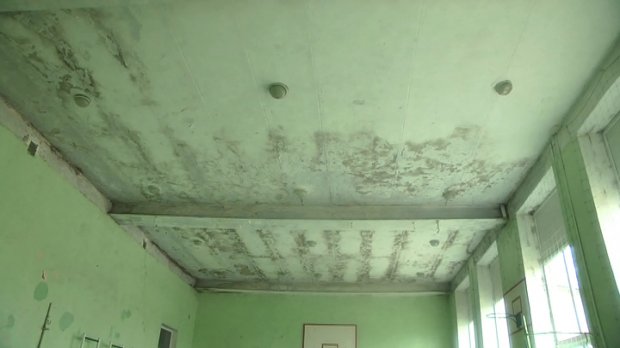 У Дніпрі шкільні кабінети покрилися грибком та пліснявою: наскільки це небезпечно для дітей