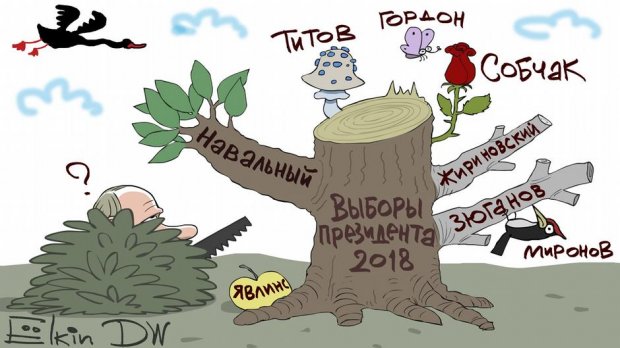 Вибори президента Росії в одній картинці: влучна карикатура