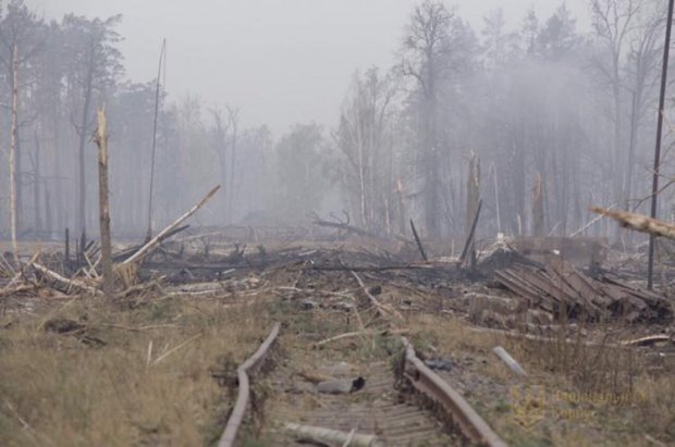 Вибух складів з боєприпасами в Ічні: у мережі зявилися моторошні фото наслідків пожежі