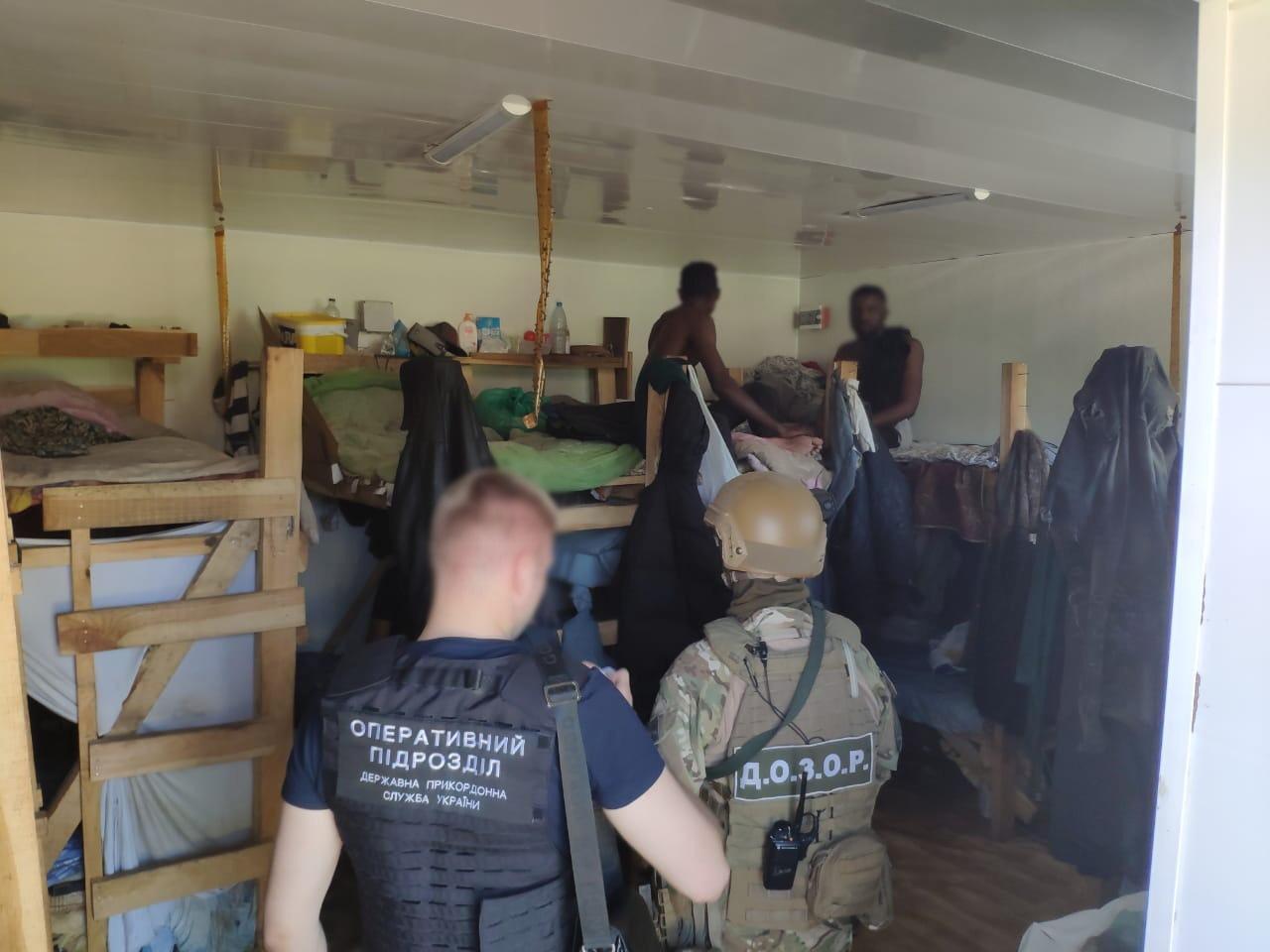 Лес под Киевом рубили африканцы и китайцы, приехавшие в Украину на учебу (ФОТО)
