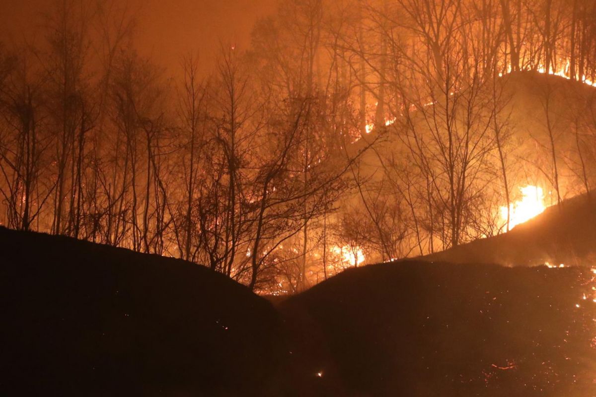 Масштабный пожар в Южной Корее: 120 домов разрушены, есть погибшие