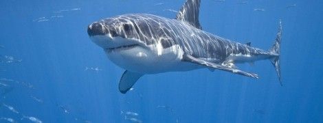 Мне не нужен этот ребенок: женщина закурила прямо возле младенца и шокировала Сеть