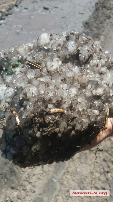 На Николаевщине град размером с голубиное яйцо уничтожил посевы и повредил крыши домов (ФОТО, ВИДЕО)