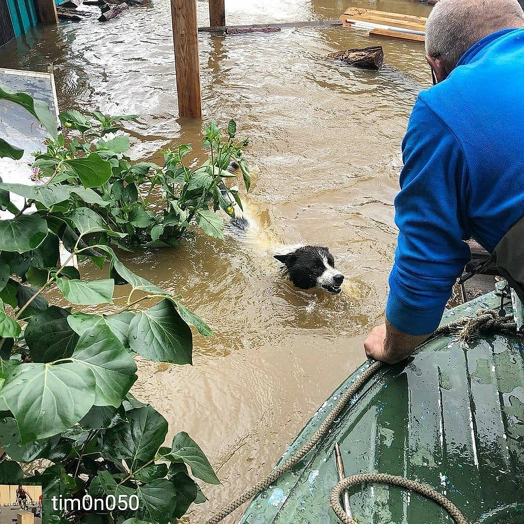 Россию затопило: наводнение пришло в Амурскую область (ФОТО, ВИДЕО)