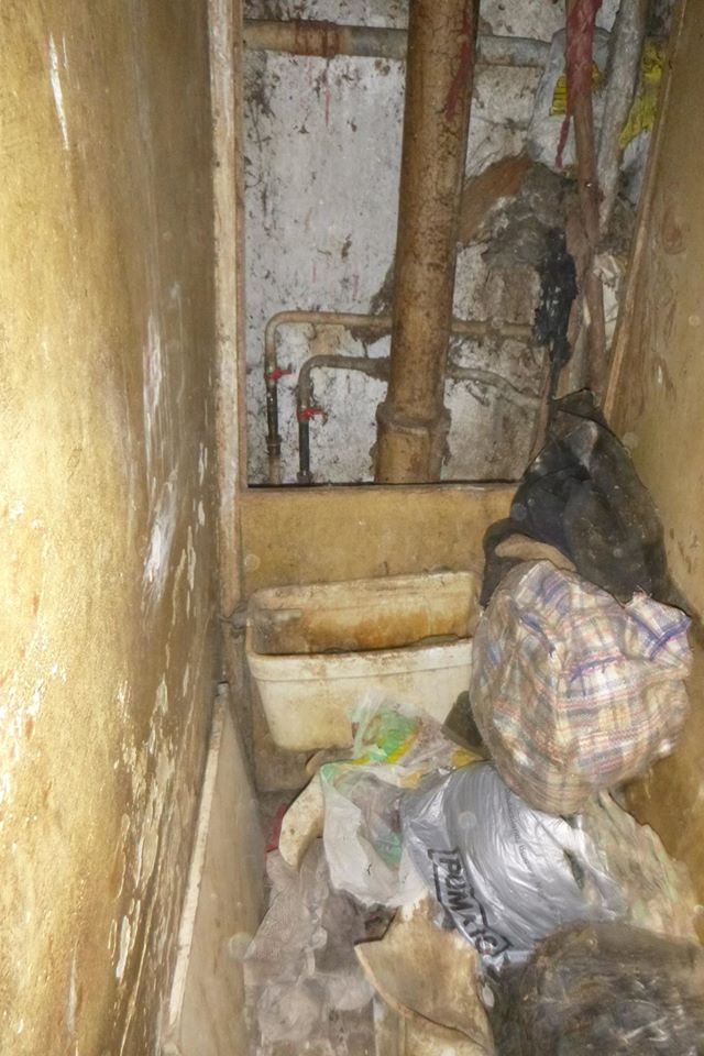 Столичные волонтеры спасли 9 животных, которые после смерти хозяйки месяц сами жили в квартире