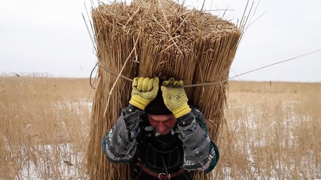 Український кінематограф сьогодні: є підстави для оптимізму