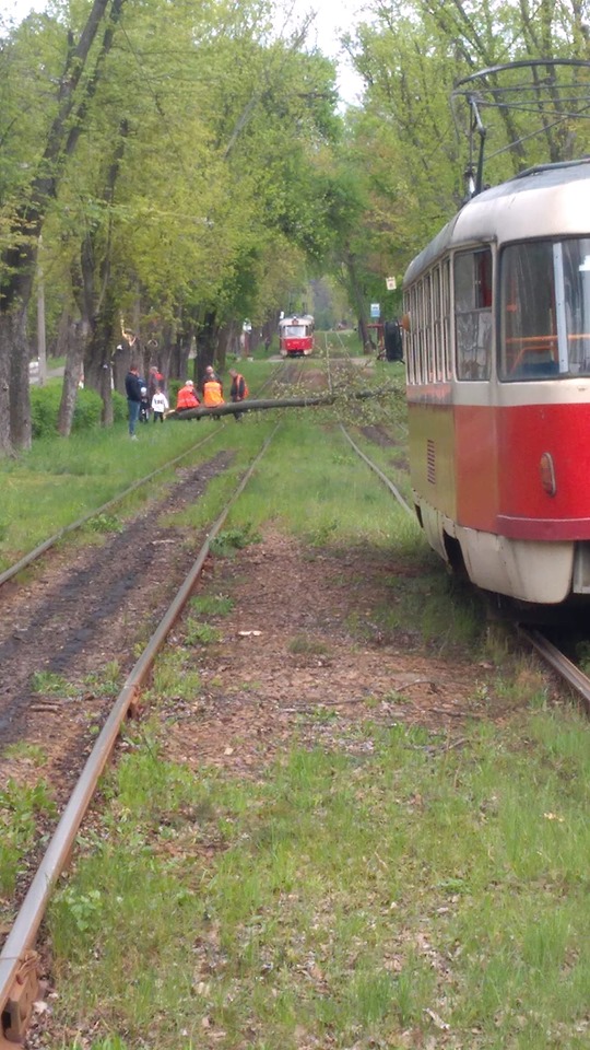 Ураган в Киеве: упали деревья, сорвало крыши, город стоит в пробках (ФОТО, ВИДЕО)