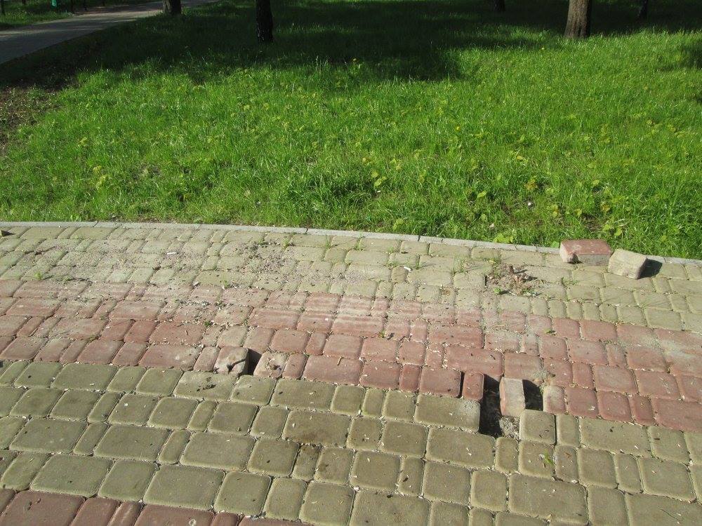 В киевском сквере им. Ф. Пушиной вандалы вырвали новые лавочки и украли урну