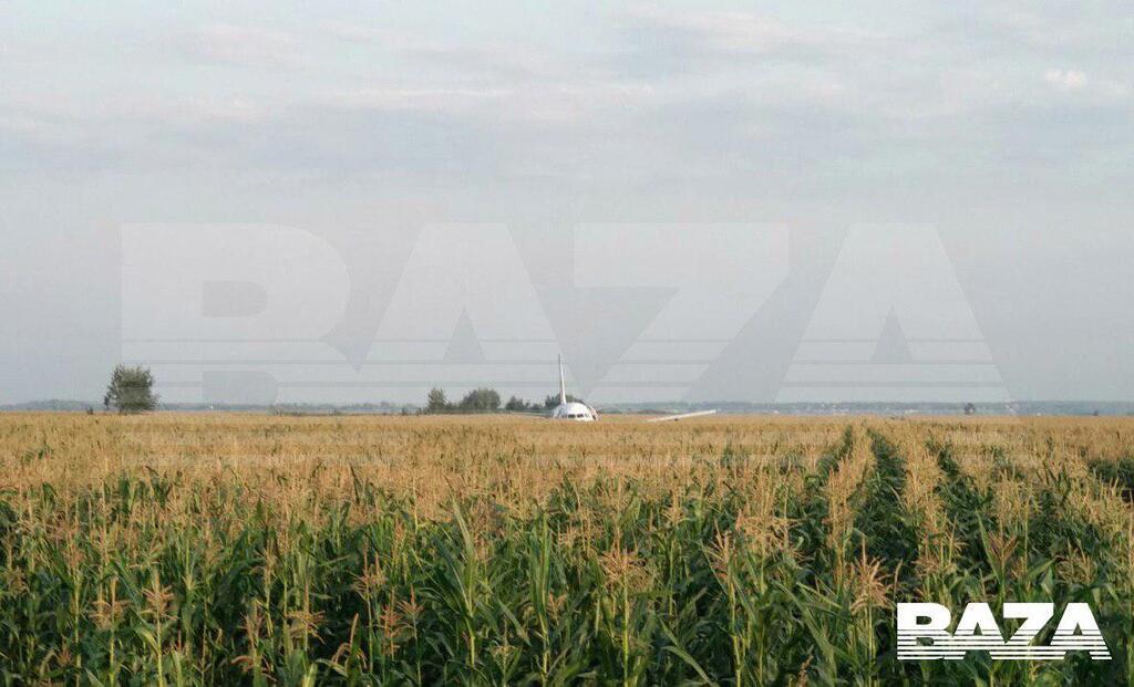 В РФ самолет с 234 пассажирами на борту совершил аварийную посадку на кукурузном поле, есть пострадавшие