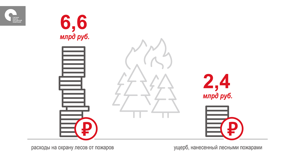 В России подсчитали миллиардные убытки от лесных пожаров (ИНФОГРАФИКА)