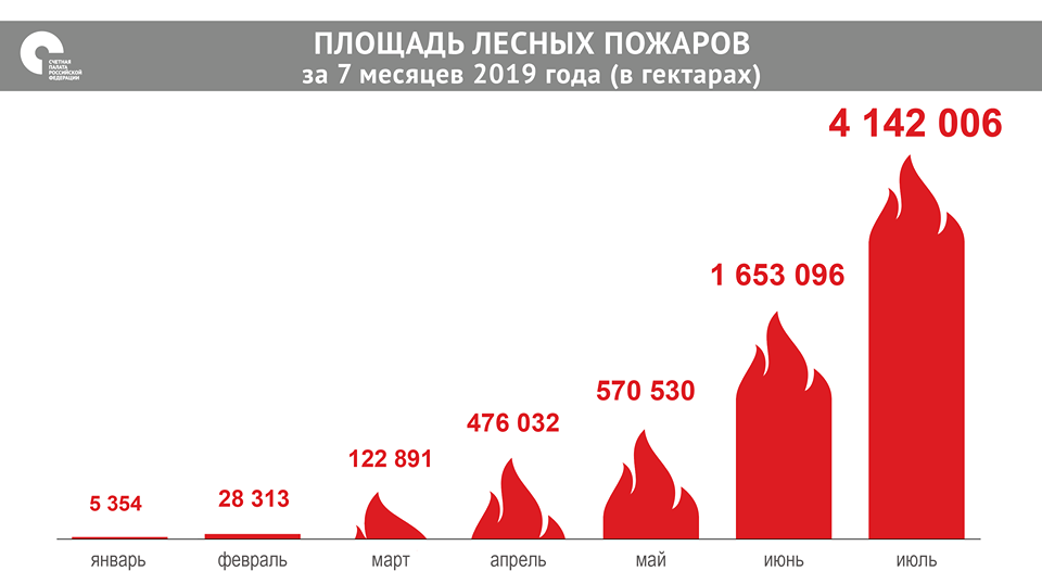 В России подсчитали миллиардные убытки от лесных пожаров (ИНФОГРАФИКА)