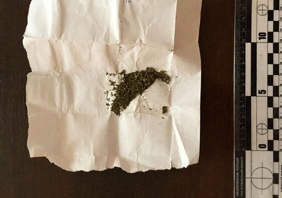 В Ровенской обл. правоохранители изъяли более 55 кг янтаря, пистолет и марихуану