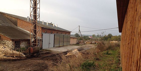 В Тернопольской обл. чиновник организовал незаконный лесной бизнес