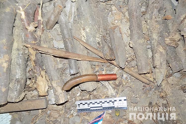 В Тернопольской области двое мужчин пытали односельчанина раскаленным утюгом из-за пропавшей золотой цепочки