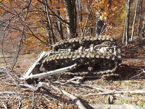 В Закарпатской обл. перевернулся трактор с водителем, мужчина погиб