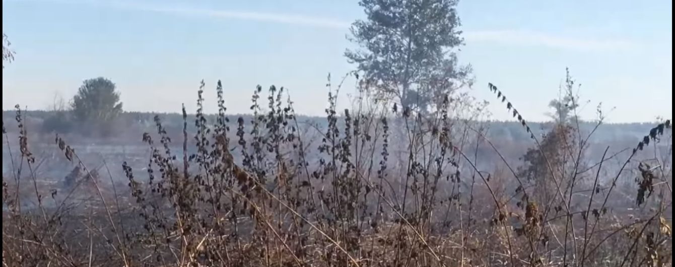 Все в дыму: под Киевом масштабно горит лес и торфяники