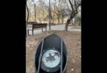 В Одессе вандалы повредили недавно установленную подсветку деревьев за 1,5 миллиона