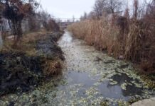 Ремонтировать Румынский канал доверили любимой фирме мэрии