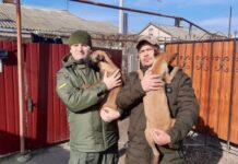 Одесским пограничникам подарили породистых щенков