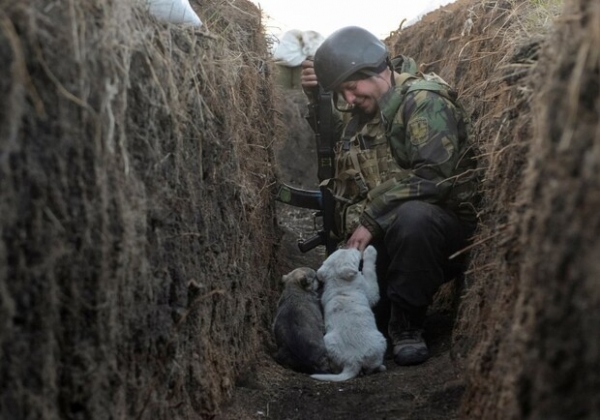 Карта боевых действий в Украине 23 июня