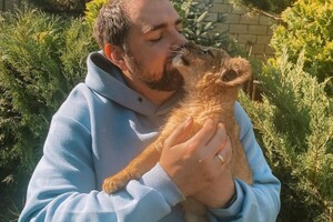 Одесские ветеринары спасли троих львят из Херсона, мама которых умерла от голода