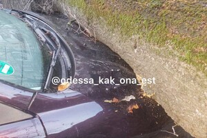 В Одессе начался древопад из-за сильно ветра 