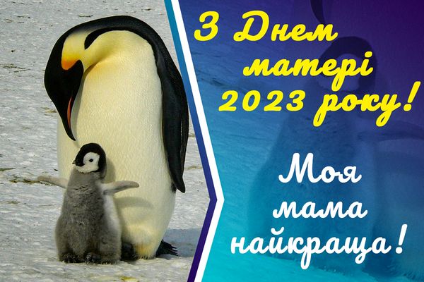 Люблю тебе, мамо! Зворушливі привітання з Днем матері