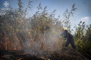 В Одессе на Хаджибейской дороге на полях горело более одного гектара: cпасатели заметили смерч 