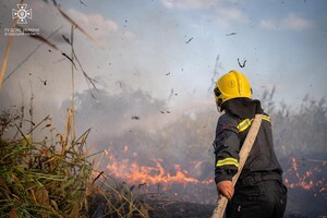 В Одессе на Хаджибейской дороге на полях горело более одного гектара: cпасатели заметили смерч 