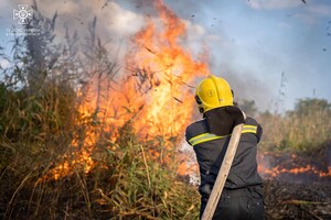 В Одессе на Хаджибейской дороге на полях горело более одного гектара: cпасатели заметили смерч 
