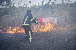 В Одессе на Хаджибейской дороге на полях горело более одного гектара: cпасатели заметили смерч 
