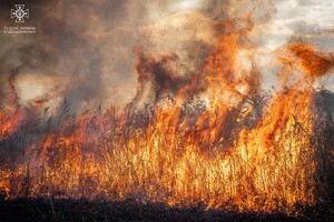 В Одессе на Хаджибейской дороге на полях горело более одного гектара: cпасатели заметили смерч 