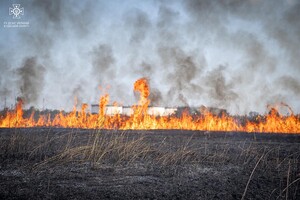 В Одессе на Хаджибейской дороге на полях горело более одного гектара: cпасатели заметили смерч 