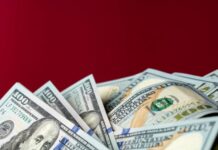Курс валют в Украине 12 января 2024: сколько стоит доллар и евро
