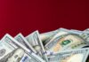 Курс валют в Украине 8 марта 2024 года: сколько стоит доллар и евро