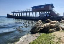 В Одессе «цветет» Черное море: что говорят экологи