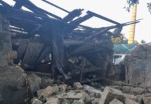 РФ обстреляла Ботанический сад Одессы: получили повреждения теплицы и растения